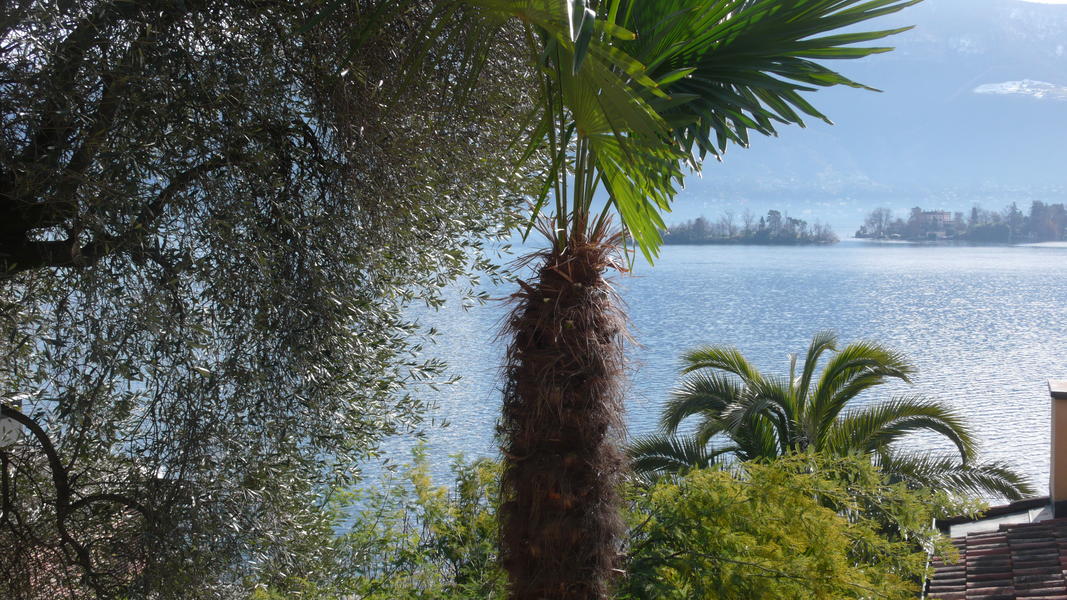 Lake view - Casa Albina©Hotel Posta al Lago